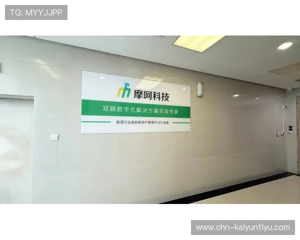 探讨“kaiyun”在数字经济中的重要角色与影响力