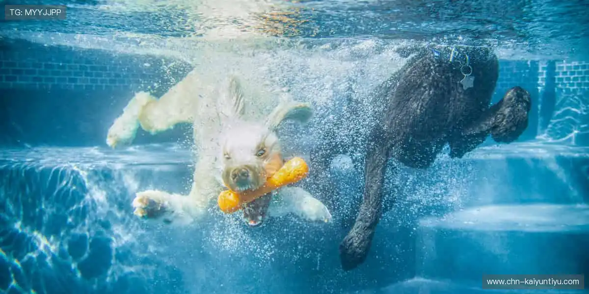 专业扑克游戏中心：海量房间自由切换，社交互动不再孤单